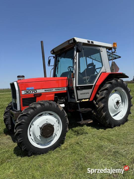 Massey Ferguson 3070 łódzkie Stare Piaski