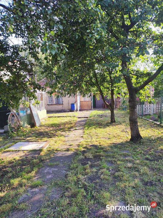 Sprzedam działkę ROD Kąpiele słoneczne Grudziądz