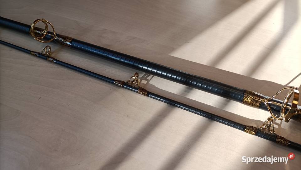 Wędka Delphin Hazard BxG 310 505 g Katowice