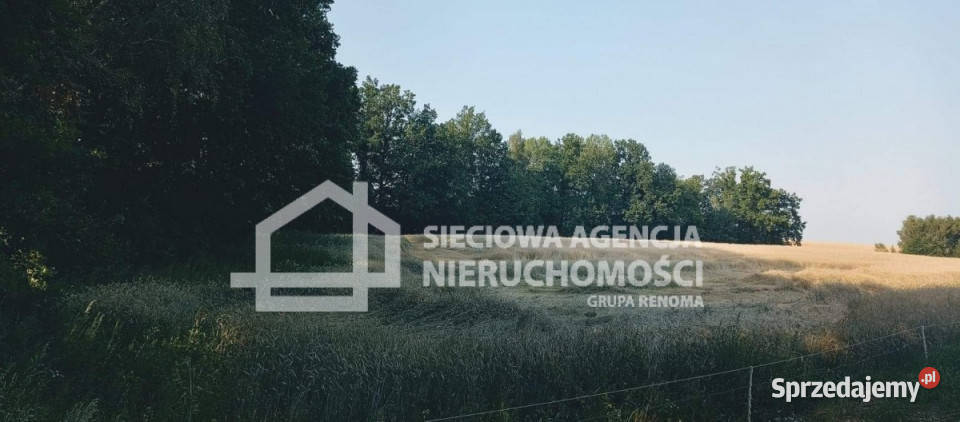 Grunt na sprzedaż 32911m2 Wilkowo Nowowiejskie Sprzedaż sprzedam