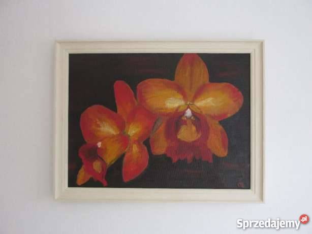 obraz olejny kwiaty storczyki diy Krosno