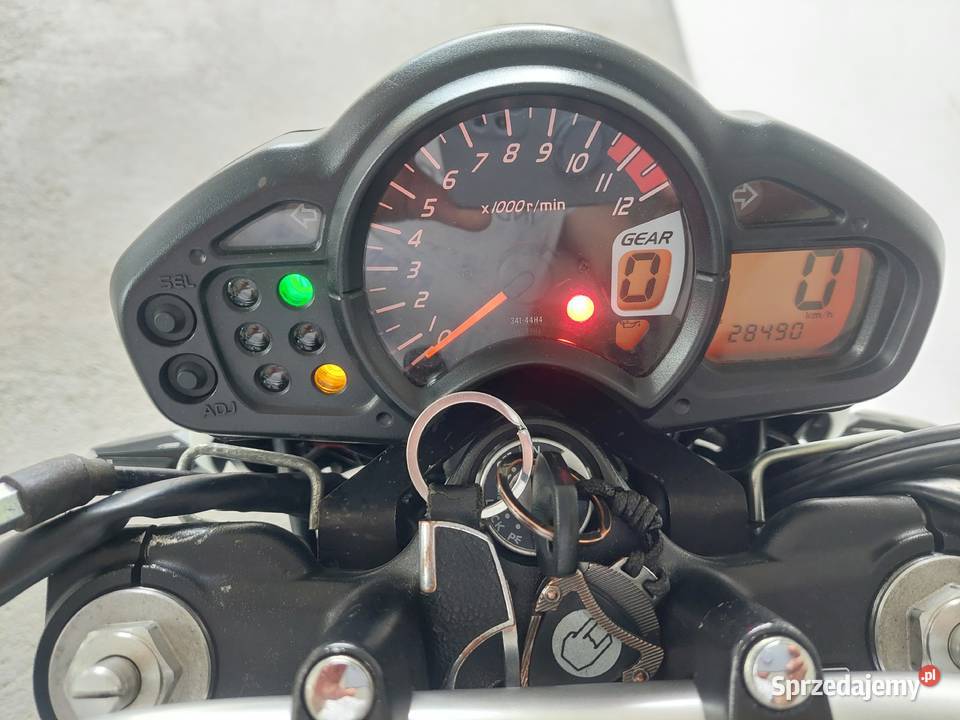 Suzuki Gladius A2 Jastrzębie-Zdrój