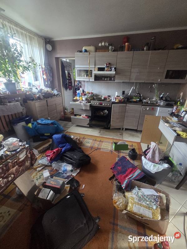 Syndyk sprzeda Amelin