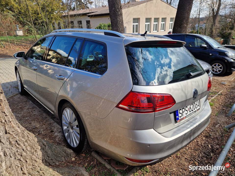 WV GOLFVII Jasienica