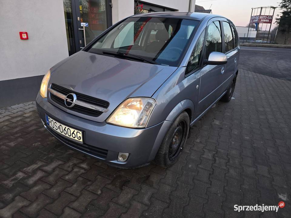 Opel Meriva 17 isuzu 230000km łódzkie Złoczew