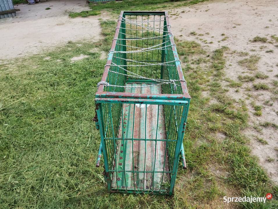 Klatka do przewozu świń 45 Stopnica