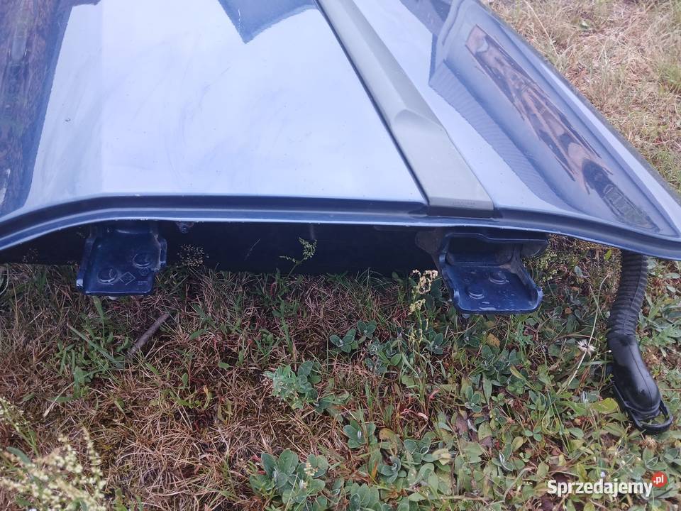 Drzwi lewe tył tylne Renault Clio III 3 lak
