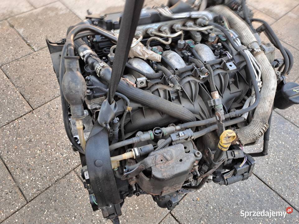 Citroen C5 II III C6 C8 Fiat Ulysse 22HDi silnik Rok produkcji 2008 śląskie Jastrzębie-Zdrój