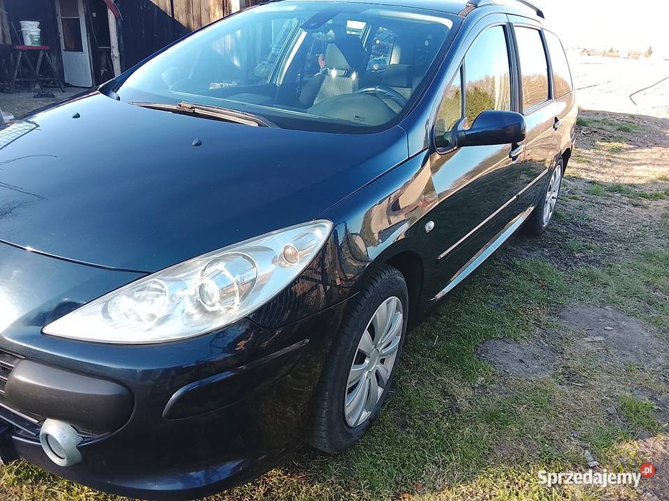 peugeot 307sw16hdi czujnik parkowania Kamień-Kolonia sprzedam