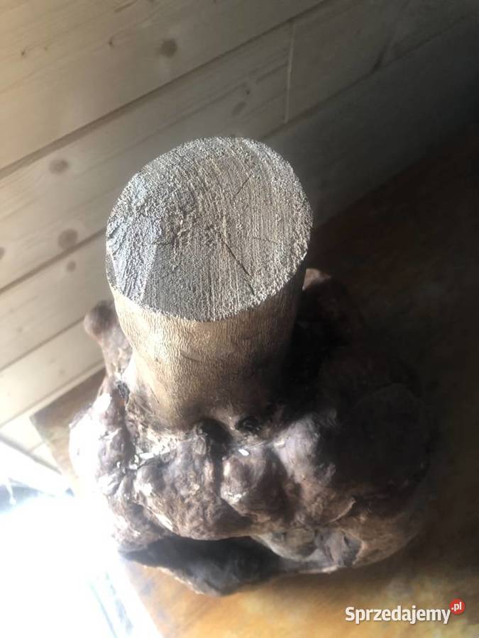 Sztuka użytkowa drewno Ciepielów sprzedam