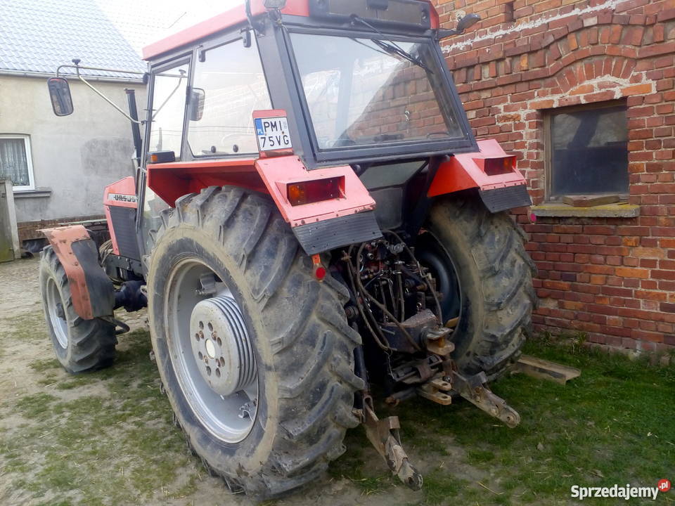 URSUS 1224 nieuszkodzony Międzychód sprzedam