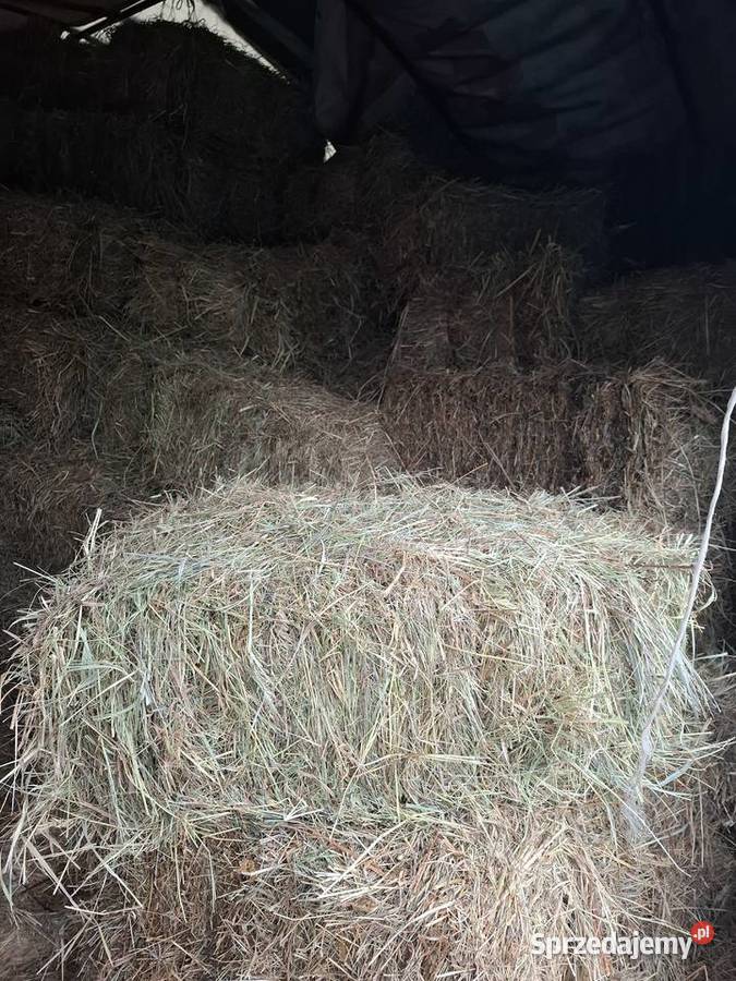 Sprzedam siano kostka Nieporęt
