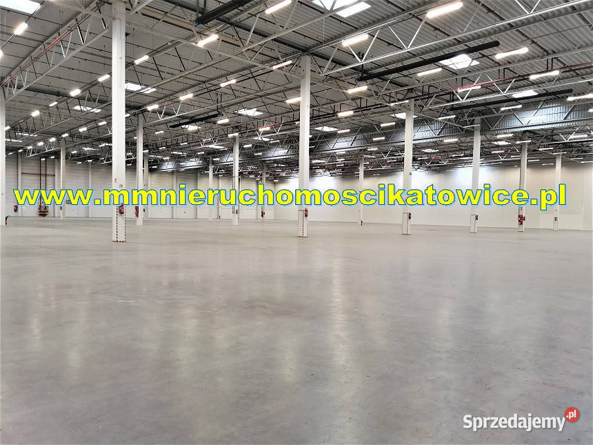 Powierzchnie magazynowe do wynajęcia do 10000 m2 Sosnowiec
