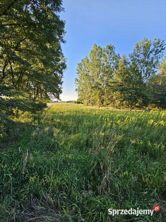 Działka z wydanymi warunkami zabudowy w cichej Złoczew