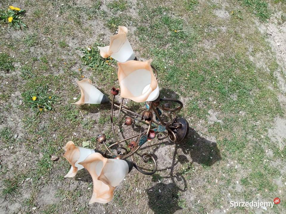 Żyrandol mosiężny 5 ramienny Lampy wiszące Brodnica
