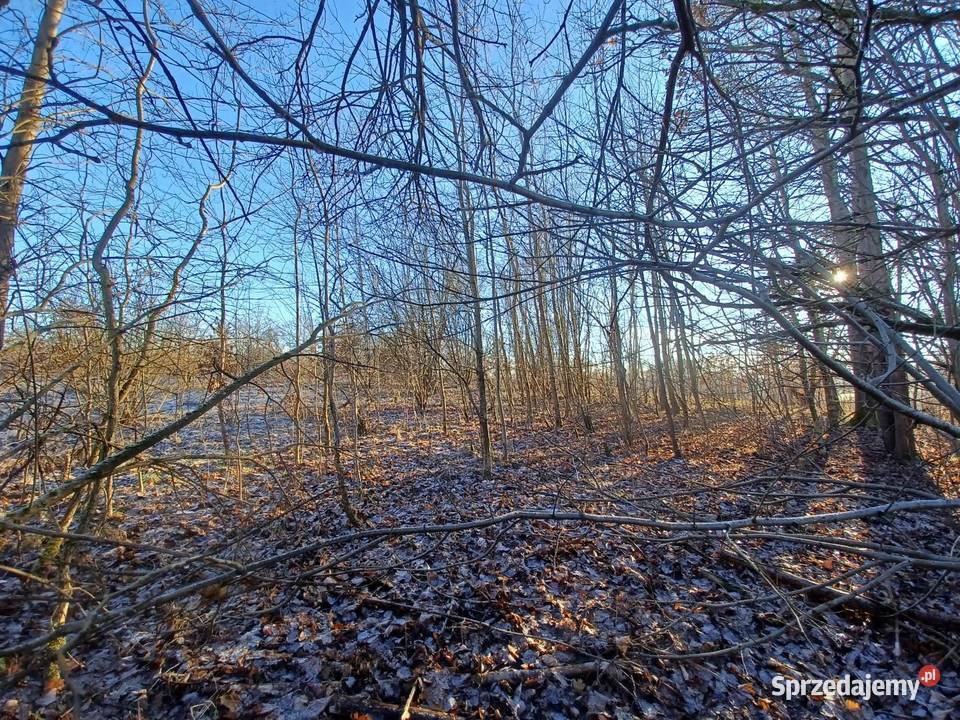 Działka z własnym jeziorem Krągłe