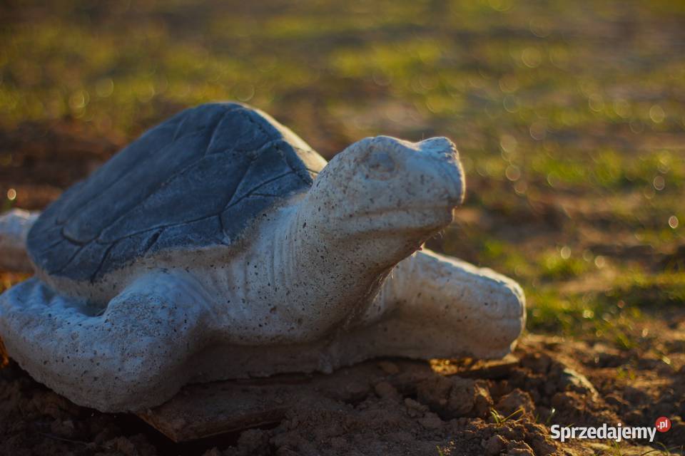 Figury rzeźby ogrodowe betonowe żółw sprzedam