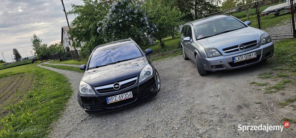 Opel Vectra C 19 cdti 200 gwint manualna Vectra Przeworsk sprzedam