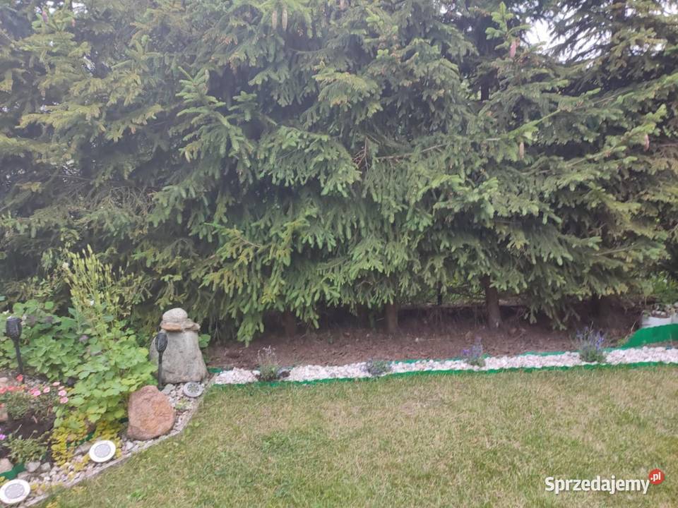 Okazja dom pół bliźniaka