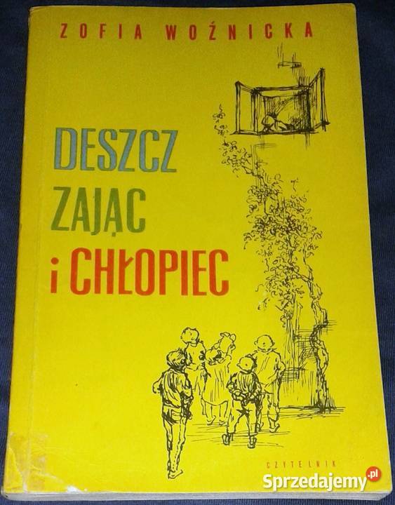 Deszcz zając i chłopiec Zofia Woźnicka Chełm sprzedam