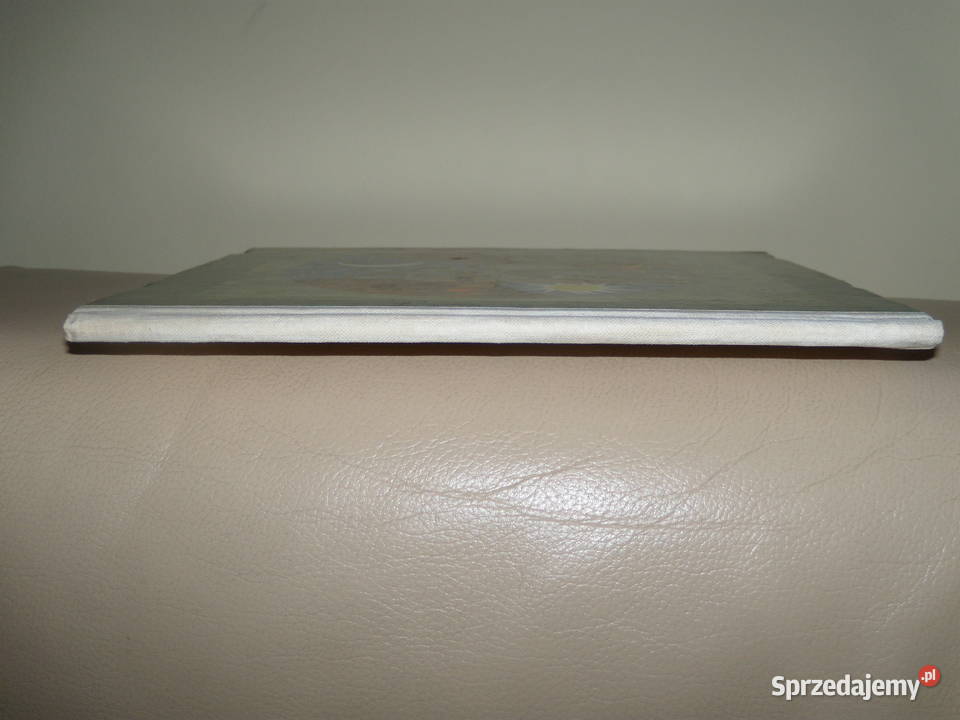 Pims którego nie ma Joanna Papuzińska twarda Warszawa sprzedam