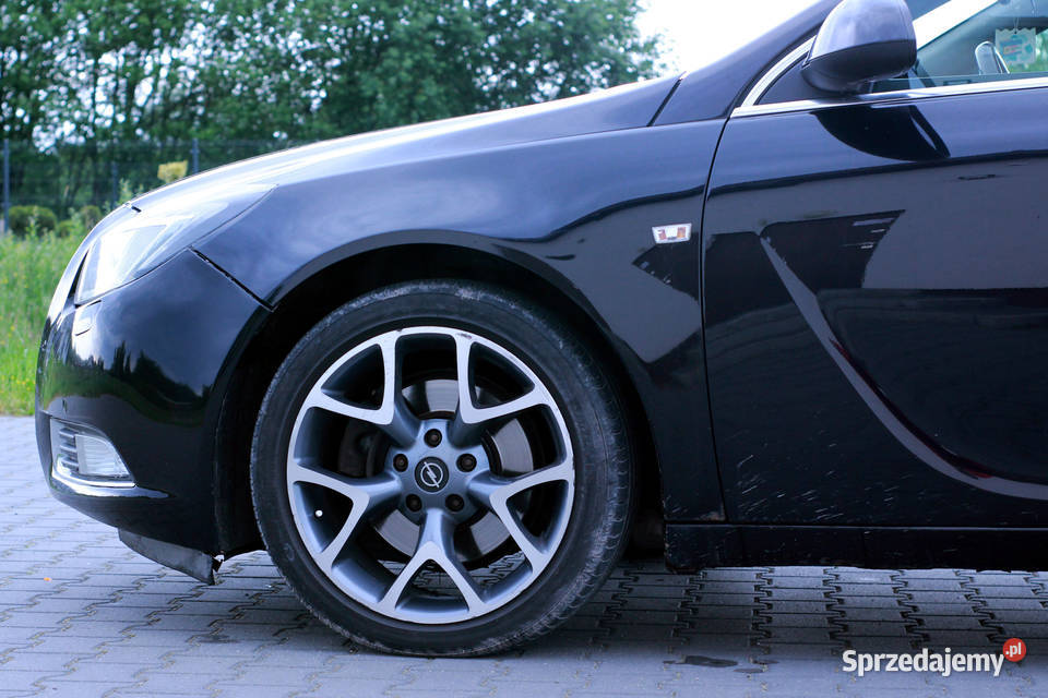 Opel Insignia 20 cdti 160 ecoflex Radom