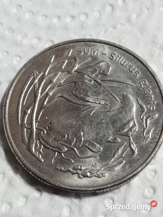 2 SUM 1995 r Świdnica