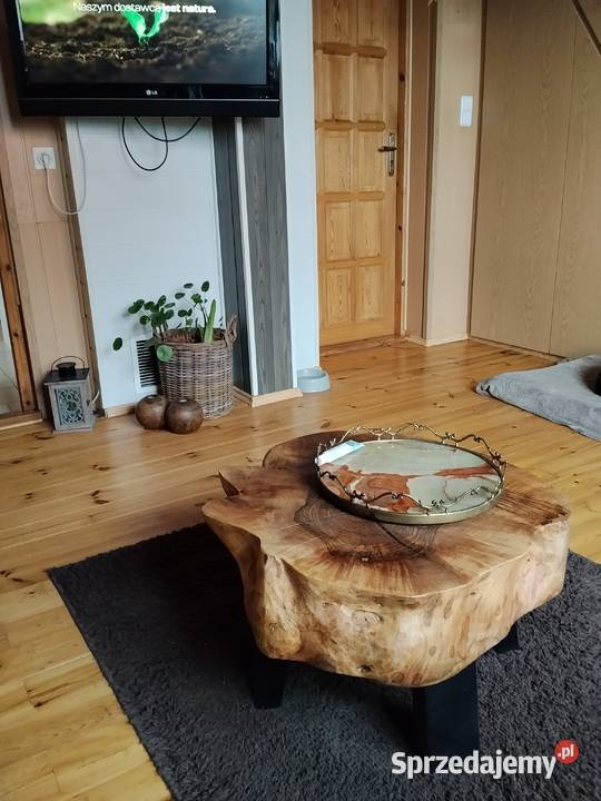 mam pokój do wynajęcia na Opener Festival Gdynia