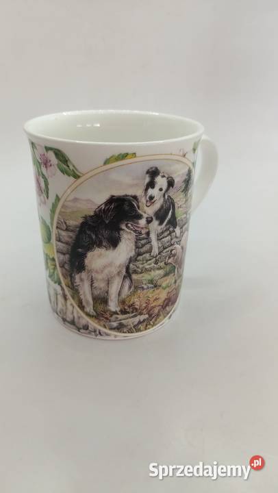 Kubek England pies owczarek collie Zamość