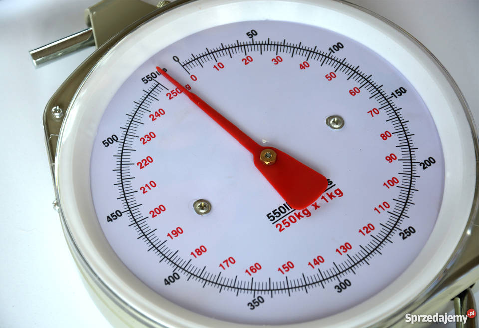 Waga hakowa sprężynowa 250 Magazynowanie Skarżysko-Kamienna