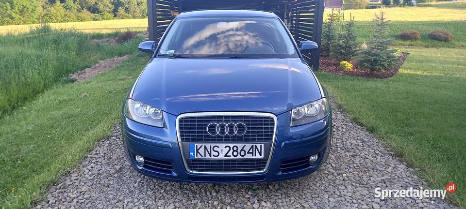 Audi a3 8p 20 tdi 140 Korzenna