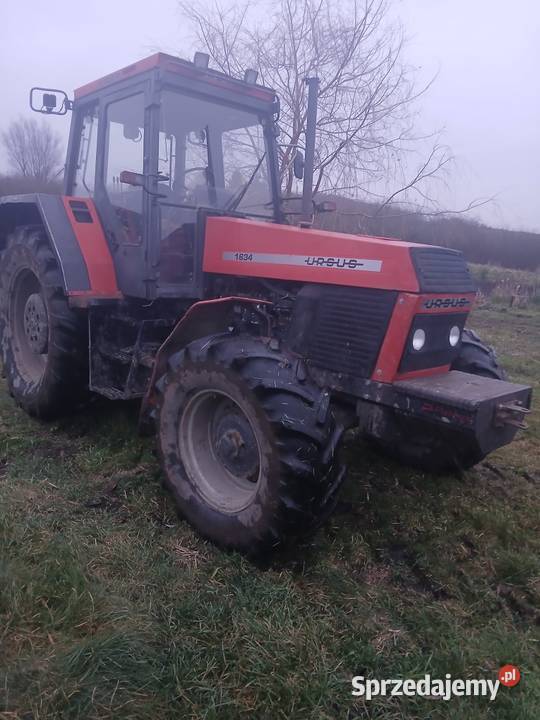 Traktor ursus 1634 Malbork sprzedam