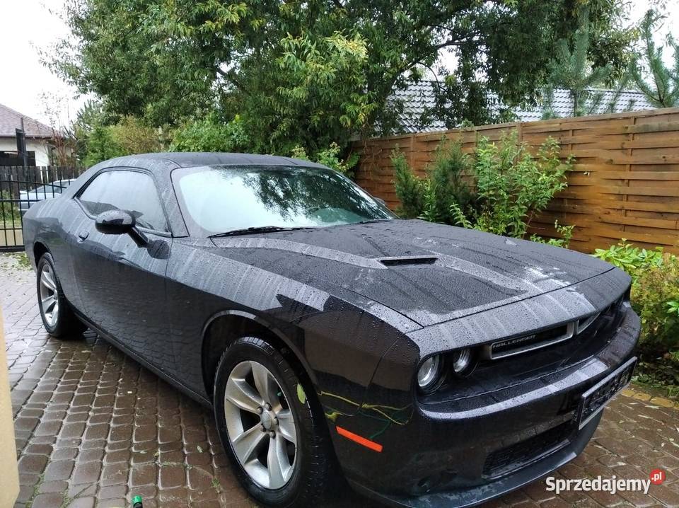 Dodge Challenger 36 benzyna Gdańsk