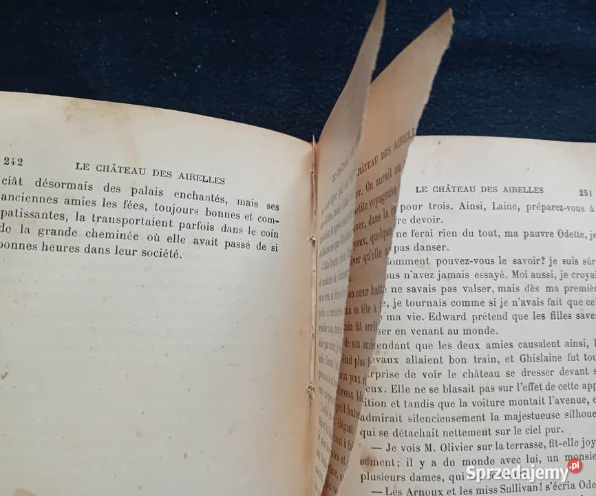 Gabriel Franay Le Chateau des Airelles Paris wielkopolskie Koźminek