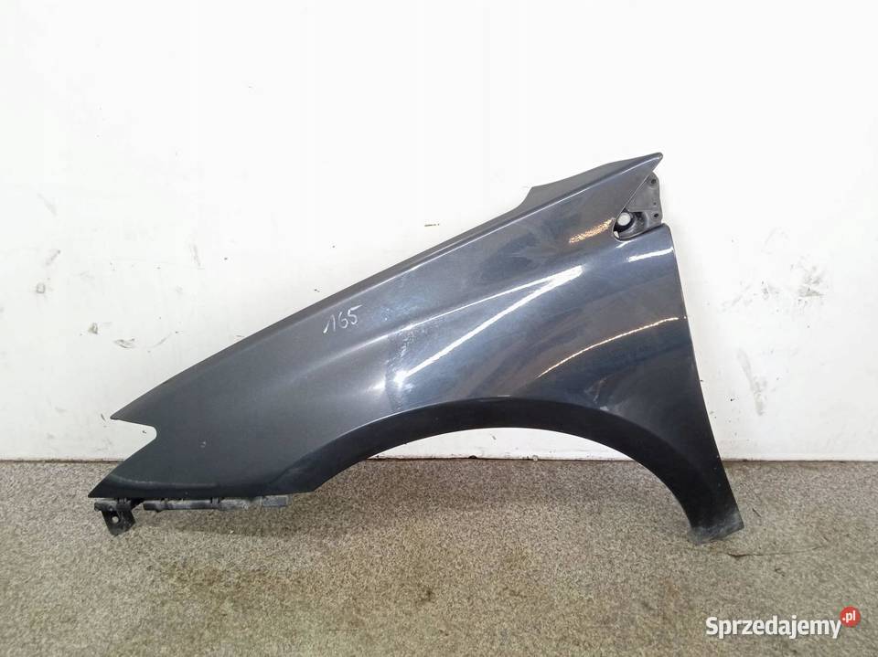 BŁOTNIK LEWY PRZÓD TEB66 Renault Laguna III 2007 Rok produkcji 2008 sprzedam