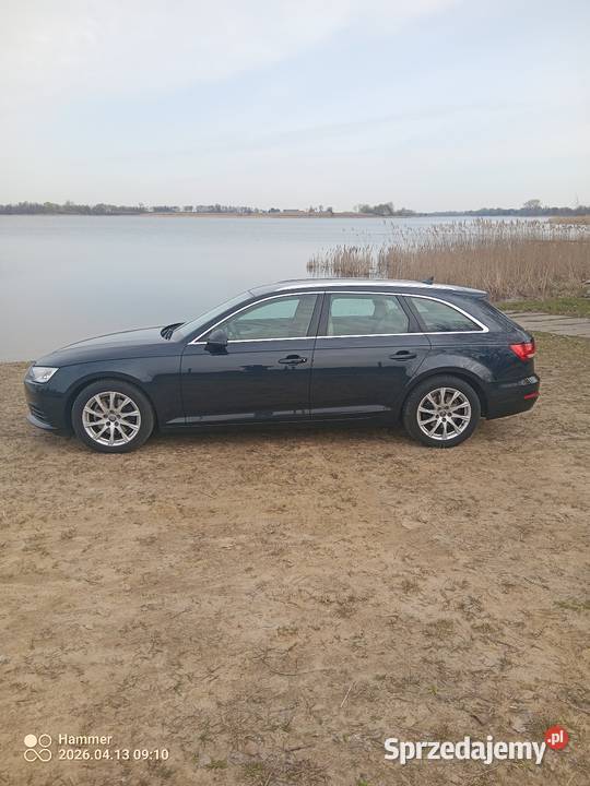 Audi a4b9 wielkopolskie Babiak