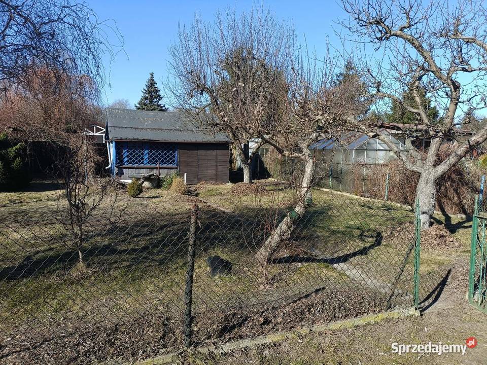 Działka ROD Paluch Miejski Warszawa rekreacyjna mazowieckie