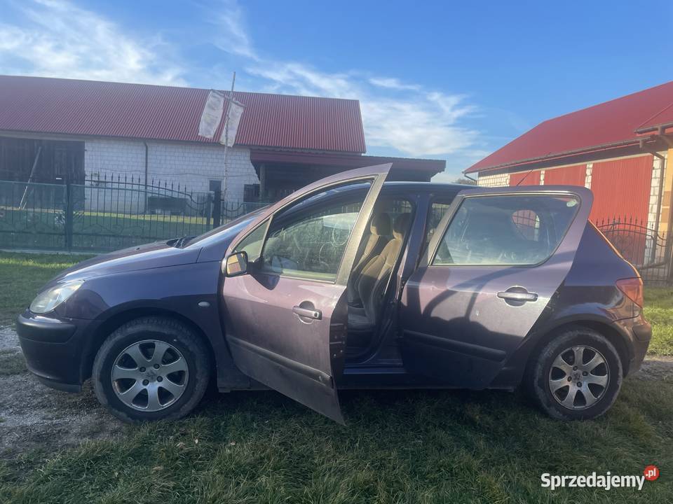 Peugeot 307 16 Stary Solec