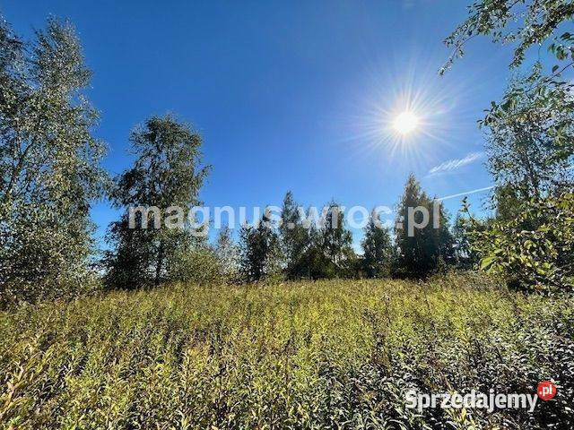 Duża działka na leśnym osiedlu w Miłoszycach Miłoszyce