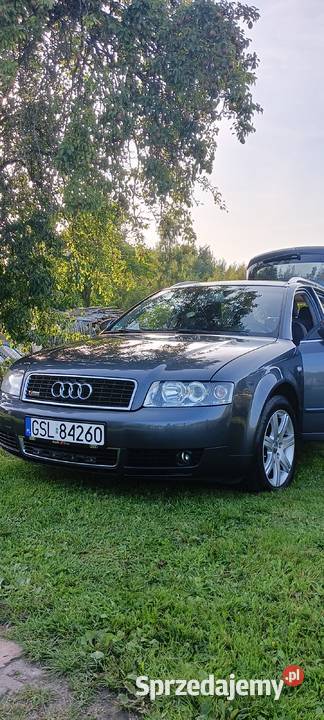 Audi A4 B6 2004r 20 ALT nieuszkodzony Słupsk