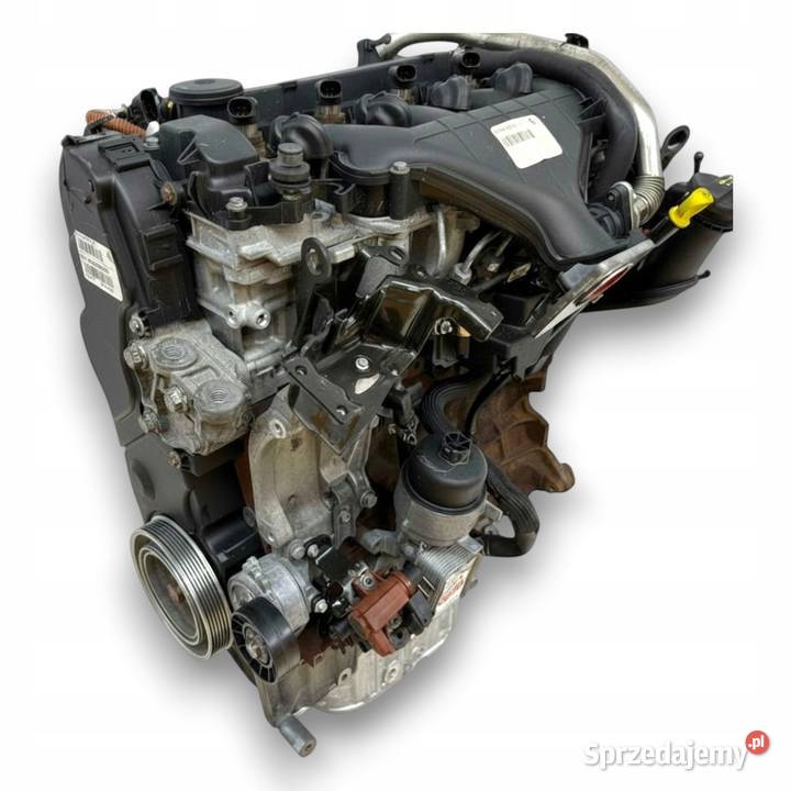 SILNIK G6DB Ford C C Focus MK2 20 TDCI 136 lubelskie sprzedam