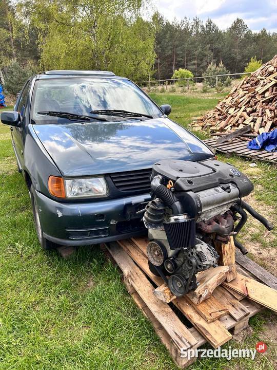 VW polo 6n 1998 14 8v AEX na części osobowe pomorskie Skórcz