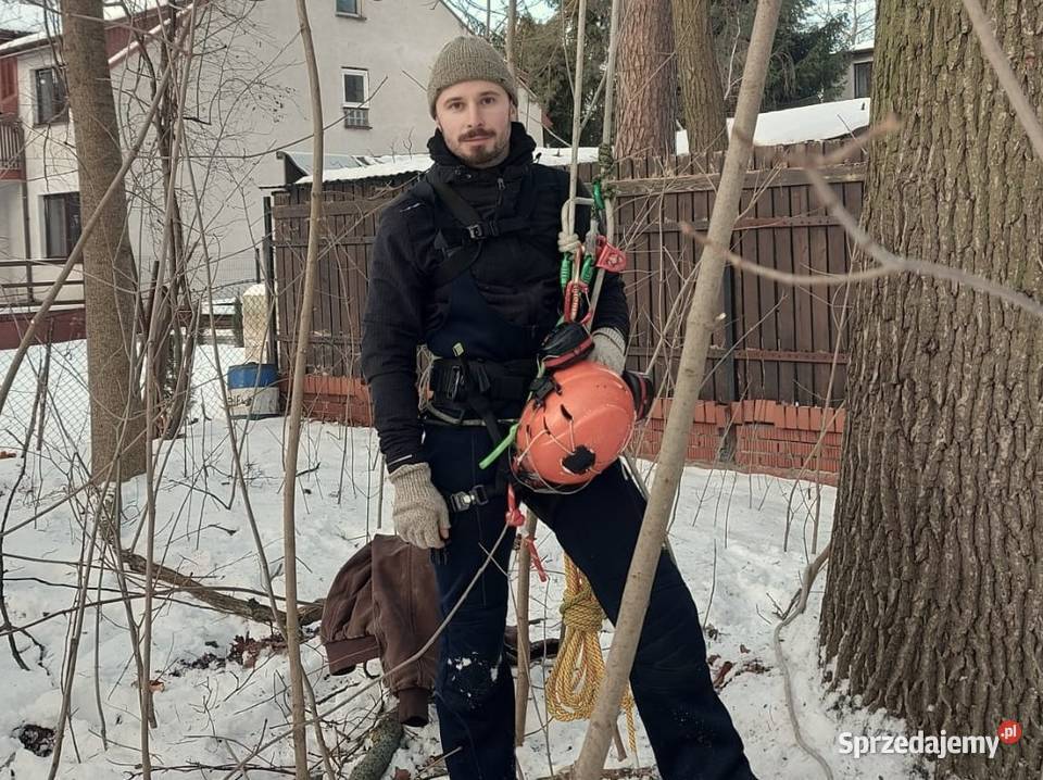 Przycinanie drzew pielęgnacja drzew wycinka mazowieckie