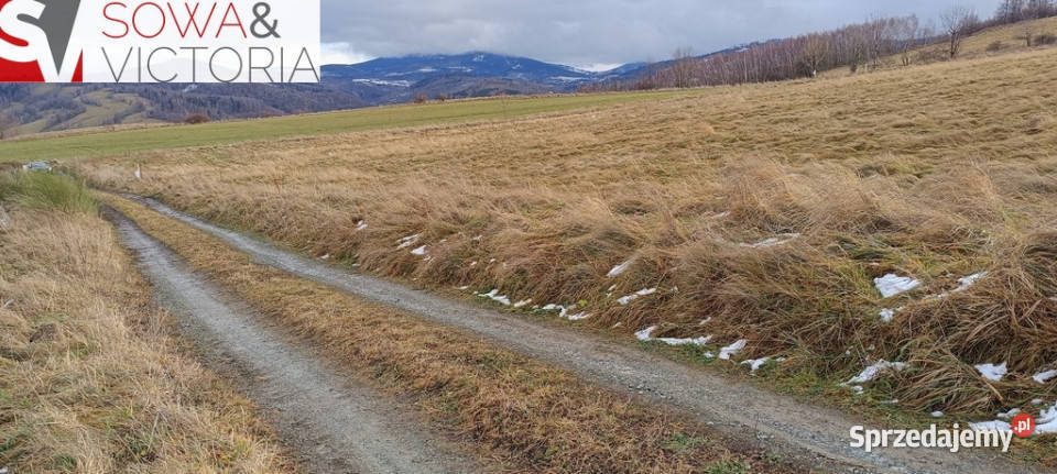 Piękna widokowa budowlana działka na sprzedaż Niedźwiedzica
