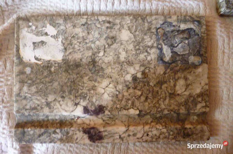 KALAMARZ MARMURKOWY Kraków