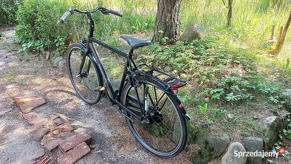 Alu Rower Miejski Męski Męski Koga City Lite dolnośląskie Wołów