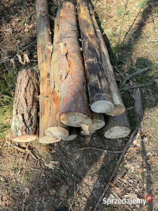 Opał drewno brzoza sosna Wałki Szlachta