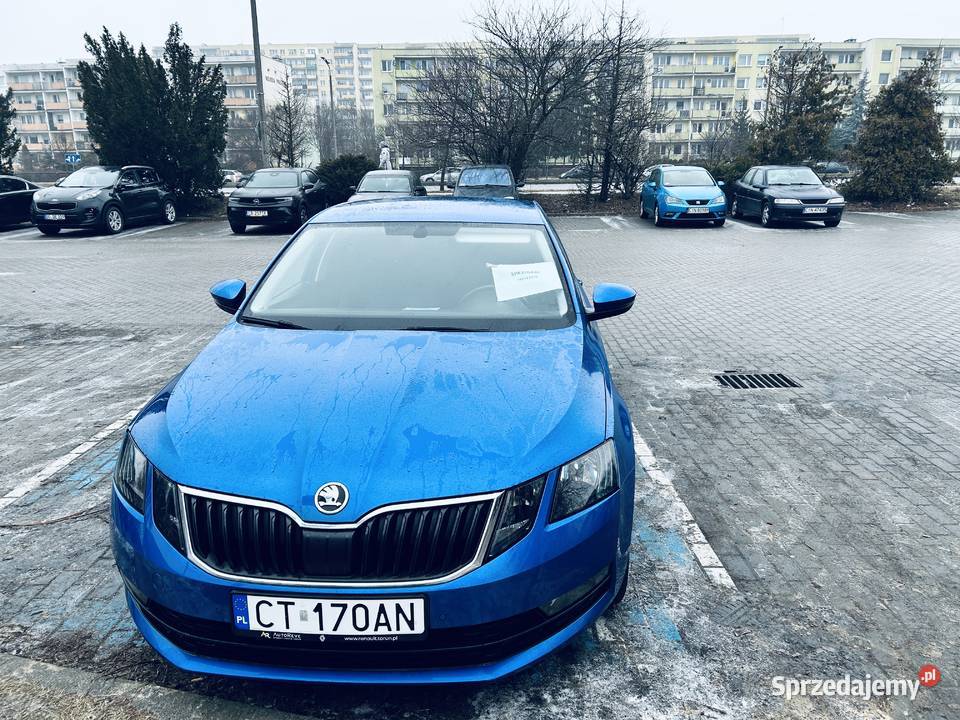 Ladna Skoda Octavia Inowrocław