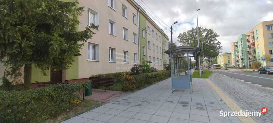 Na start pod wynajem 3565 m II piętro Biała Podlaska