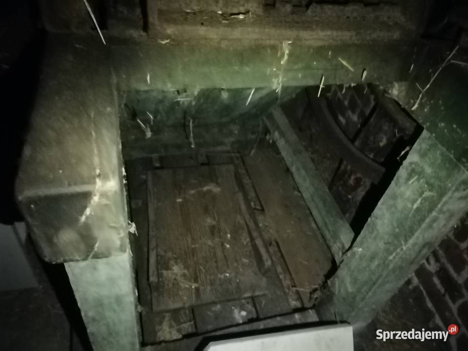 Sieczkarnia kukurydzy Pozostałe wielkopolskie Ostrzeszów